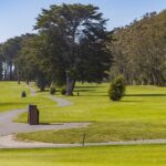 Golfer playing on a green course bordered by tall trees